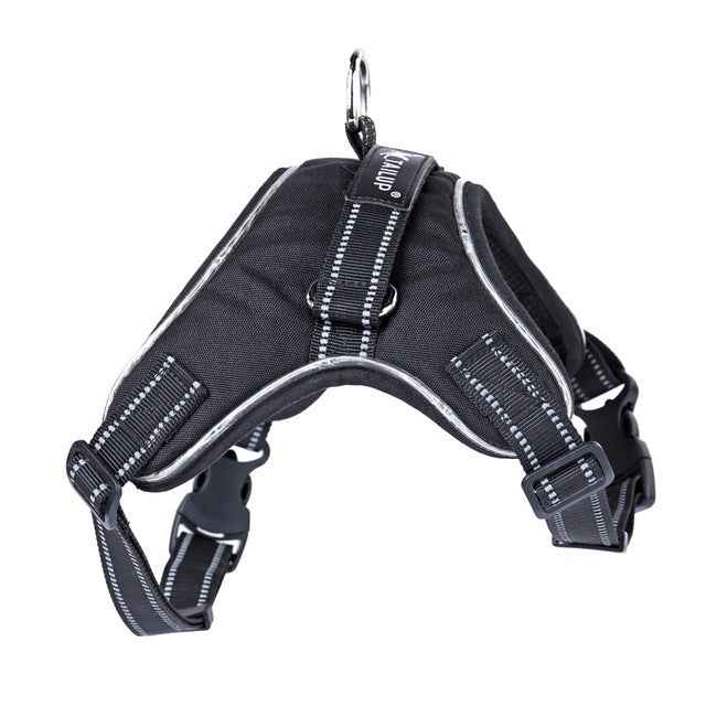 Glowing Dog Collar for Nighttime Safety and Style - Travillure Pet Emporium