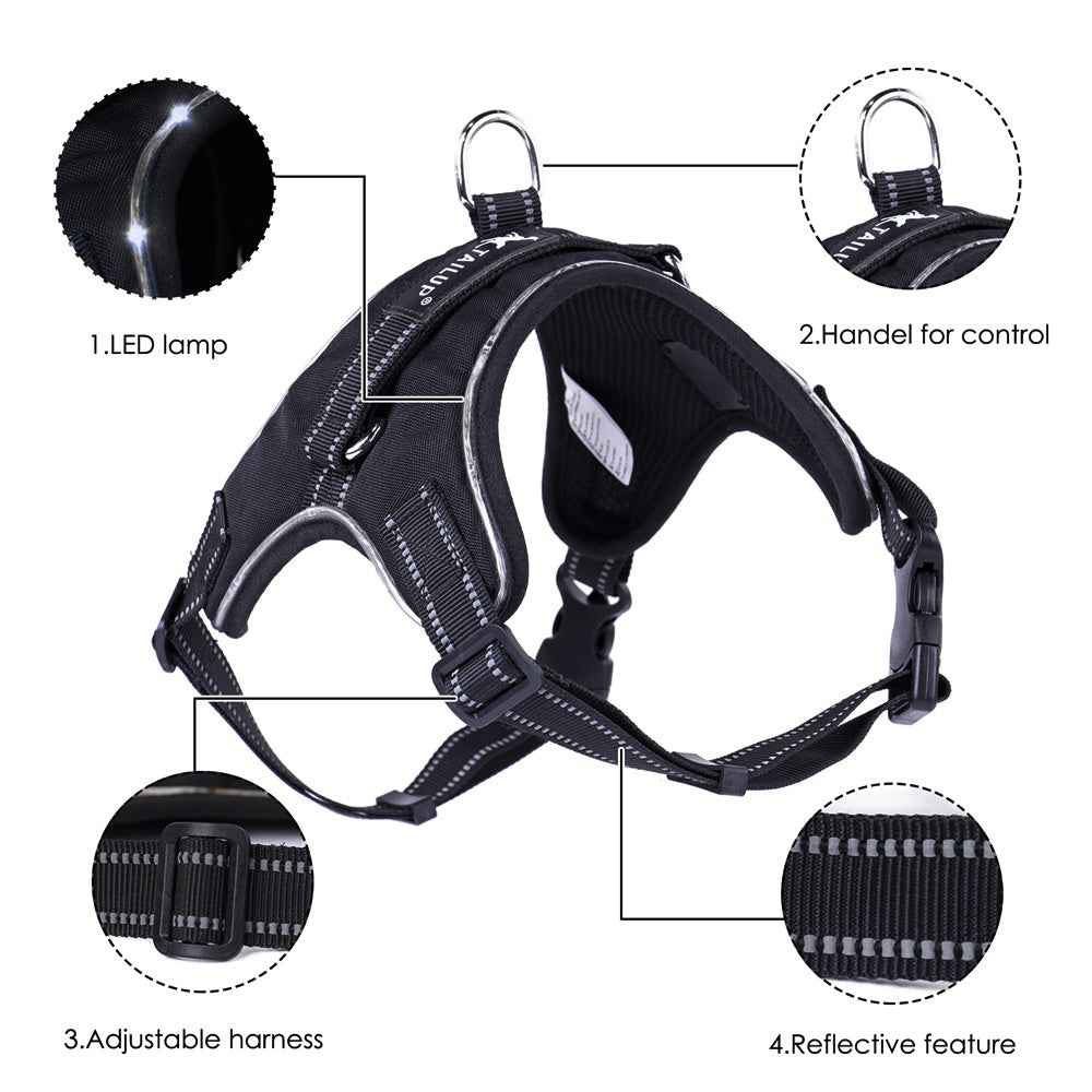 Glowing Dog Collar for Nighttime Safety and Style - Travillure Pet Emporium