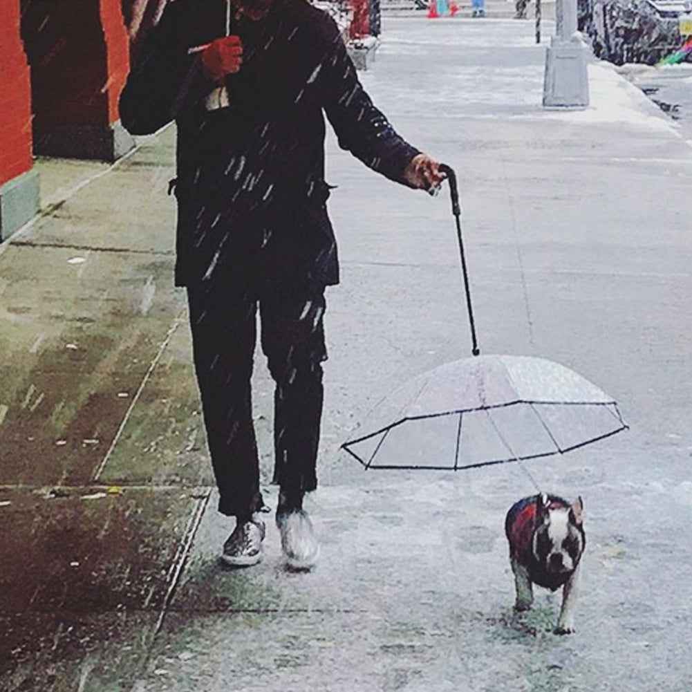 Transparent Dog Umbrella with Traction Chain for Optimal Pet Protection - Travillure Pet Emporium