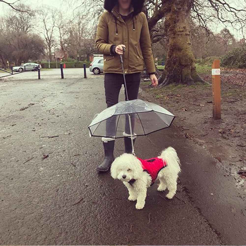Transparent Dog Umbrella with Traction Chain for Optimal Pet Protection - Travillure Pet Emporium