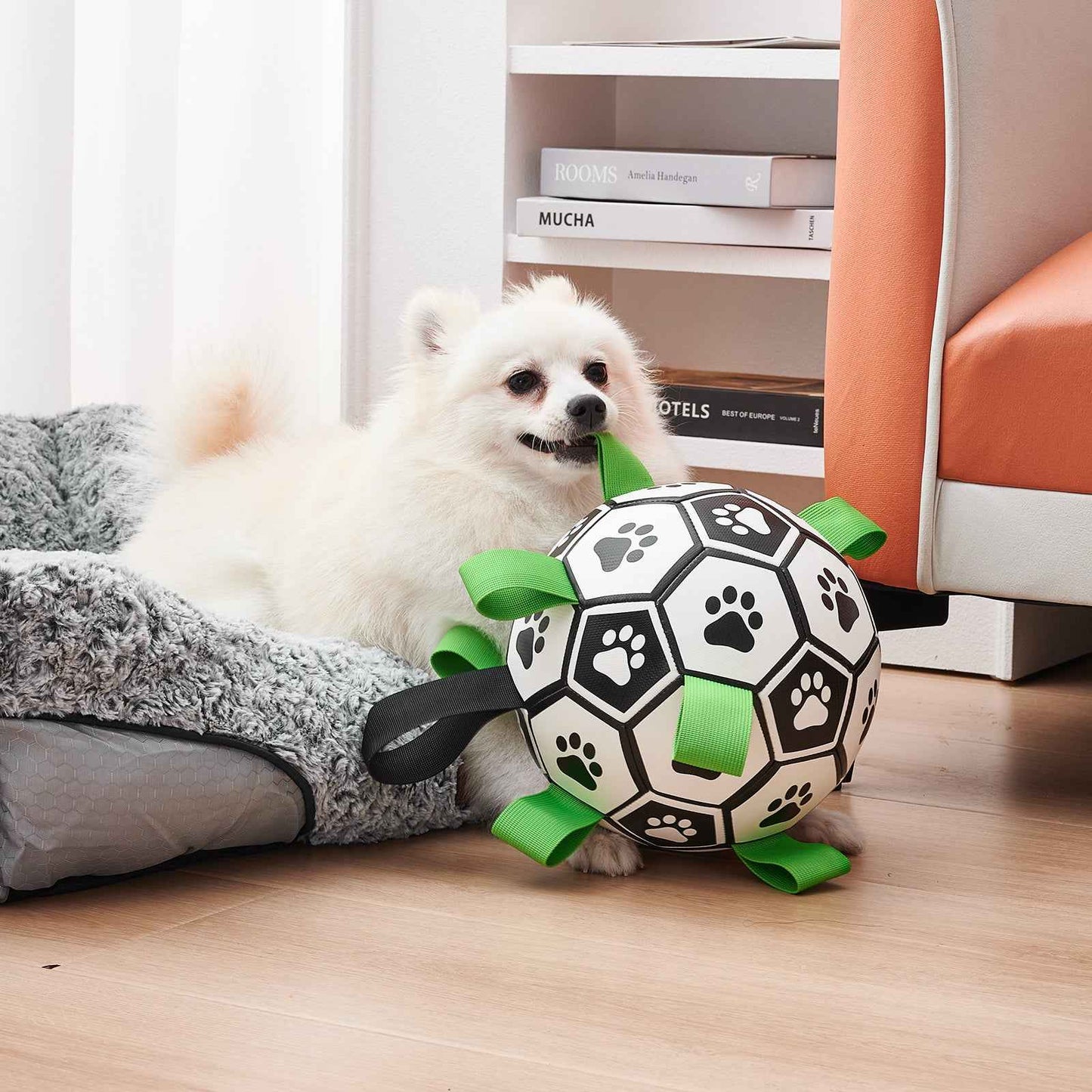 Dog Interactive Football Toy for Engaging Playtime Fun - Travillure Pet Emporium