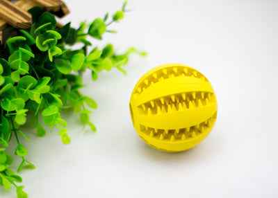Rubber Mint Pet Feeding Ball with Built-in Food Storage for Effortless Pet Feeding - Travillure Pet Emporium