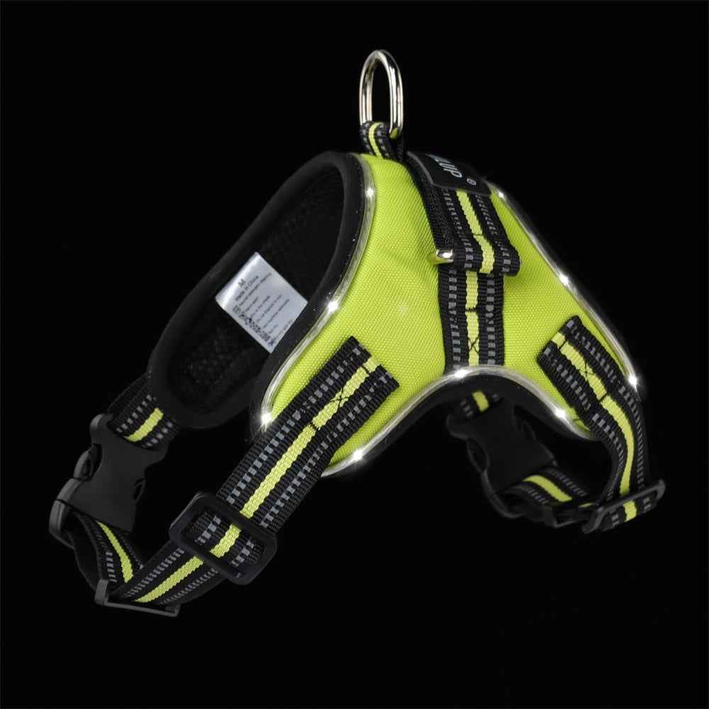 Glowing Dog Collar for Nighttime Safety and Style - Travillure Pet Emporium