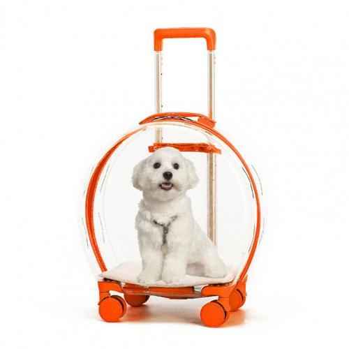 Transparent Dog Trolley Box for Convenient Pet Transport - Travillure Pet Emporium