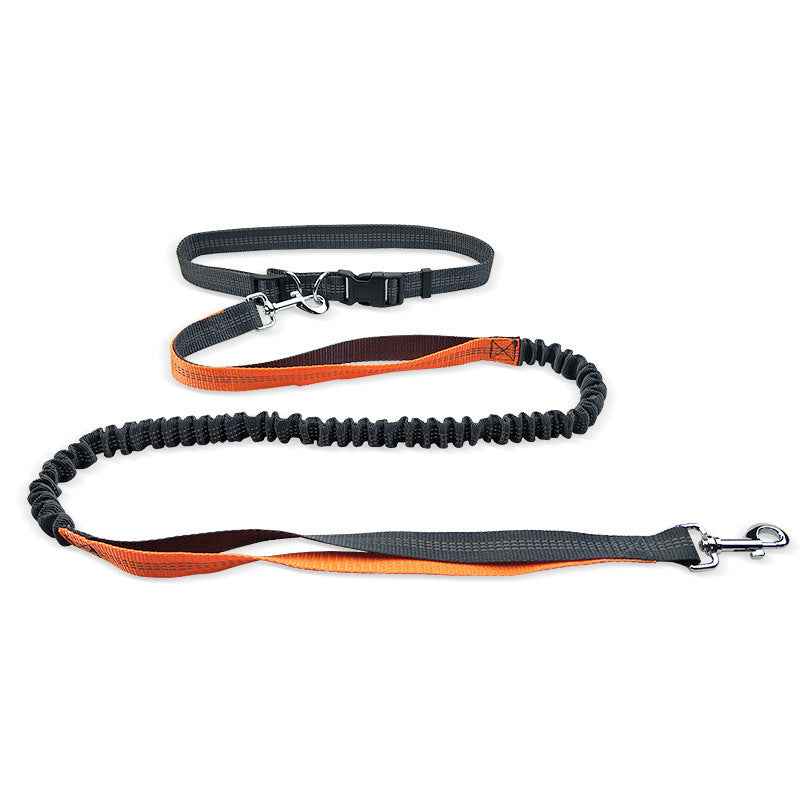 Dog Running Pull Leash for Active Pets and Owners - Travillure Pet Emporium
