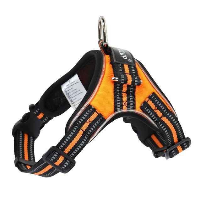 Glowing Dog Collar for Nighttime Safety and Style - Travillure Pet Emporium