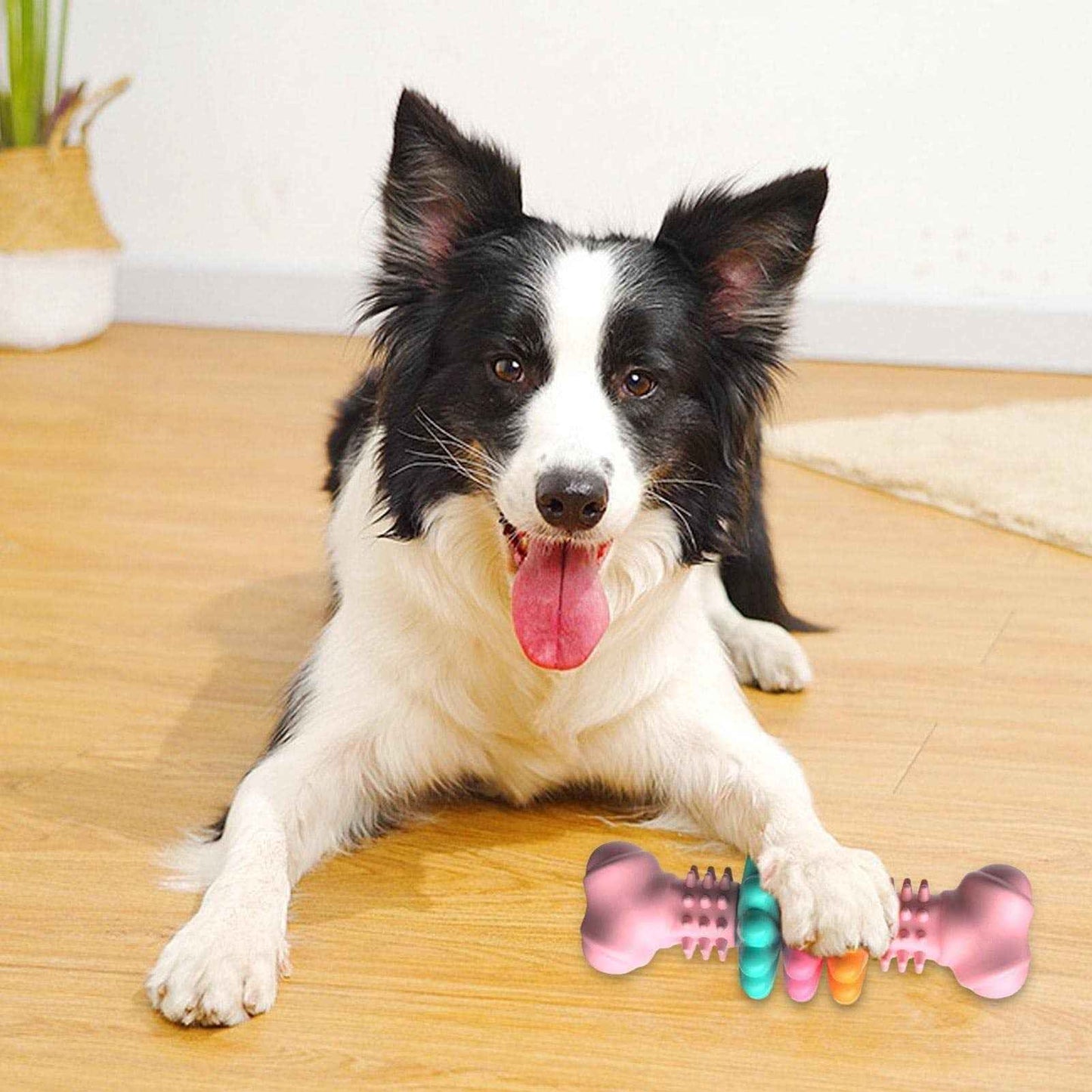 Bone Type Bite Resistant Bone Teething Toy for Comfortable Teething Relief - Travillure Pet Emporium