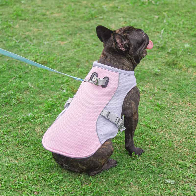 Summer Pet Cooling Vest for Outdoor Breathability and Comfort - Travillure Pet Emporium