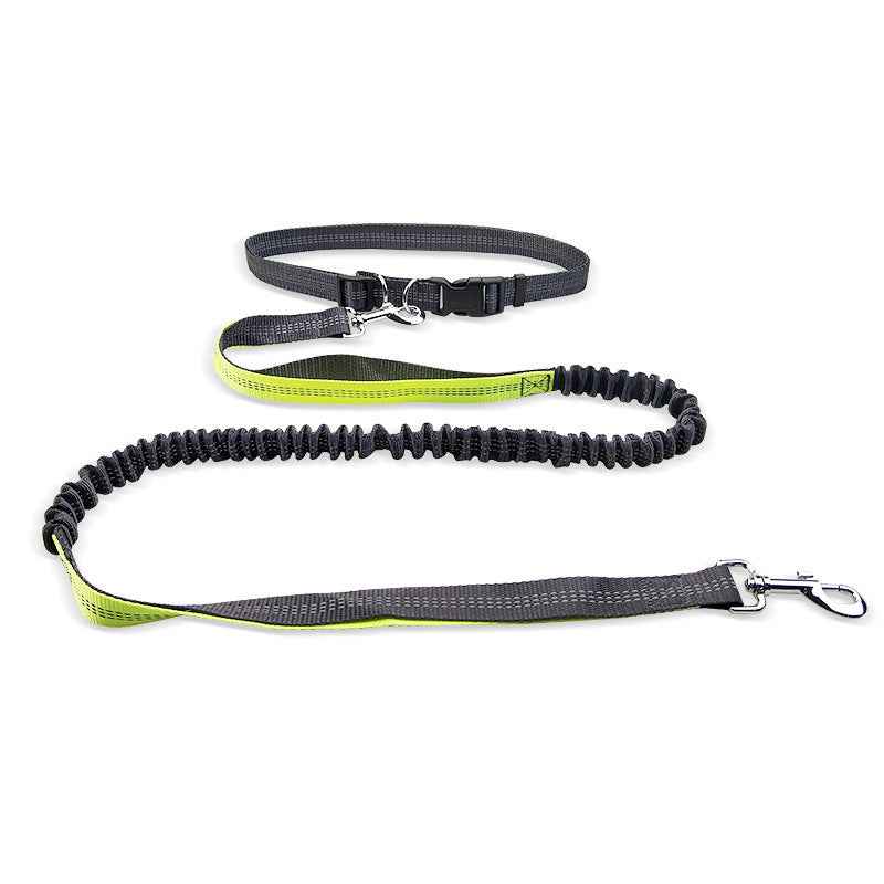 Dog Running Pull Leash for Active Pets and Owners - Travillure Pet Emporium