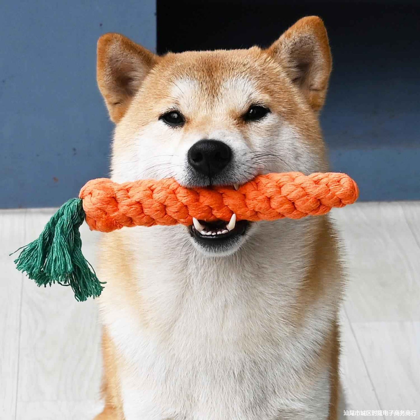 Cord Teether Knot Toy - Safe and Versatile Cord Teether Toy for Babies - Travillure Pet Emporium
