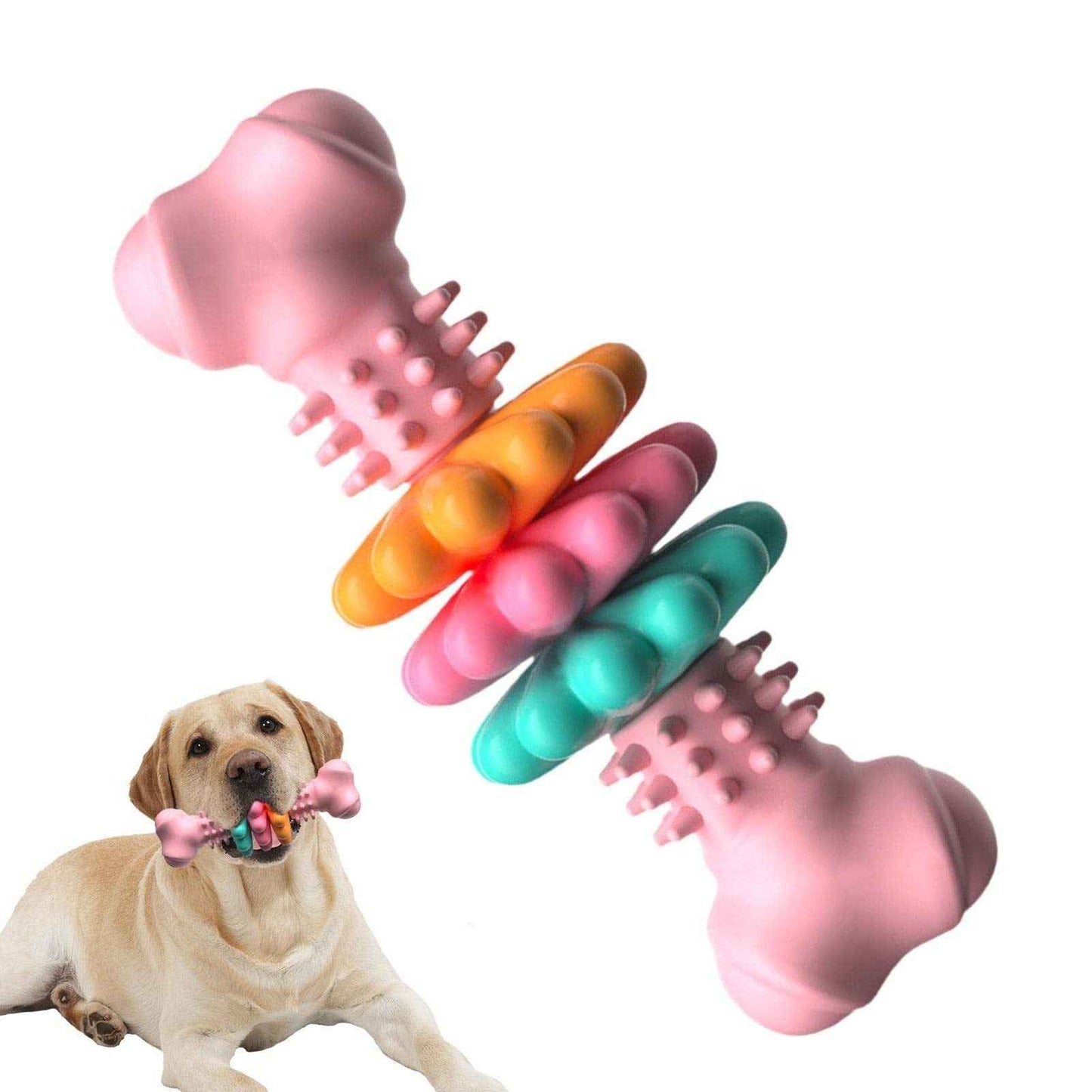 Bone Type Bite Resistant Bone Teething Toy for Comfortable Teething Relief - Travillure Pet Emporium