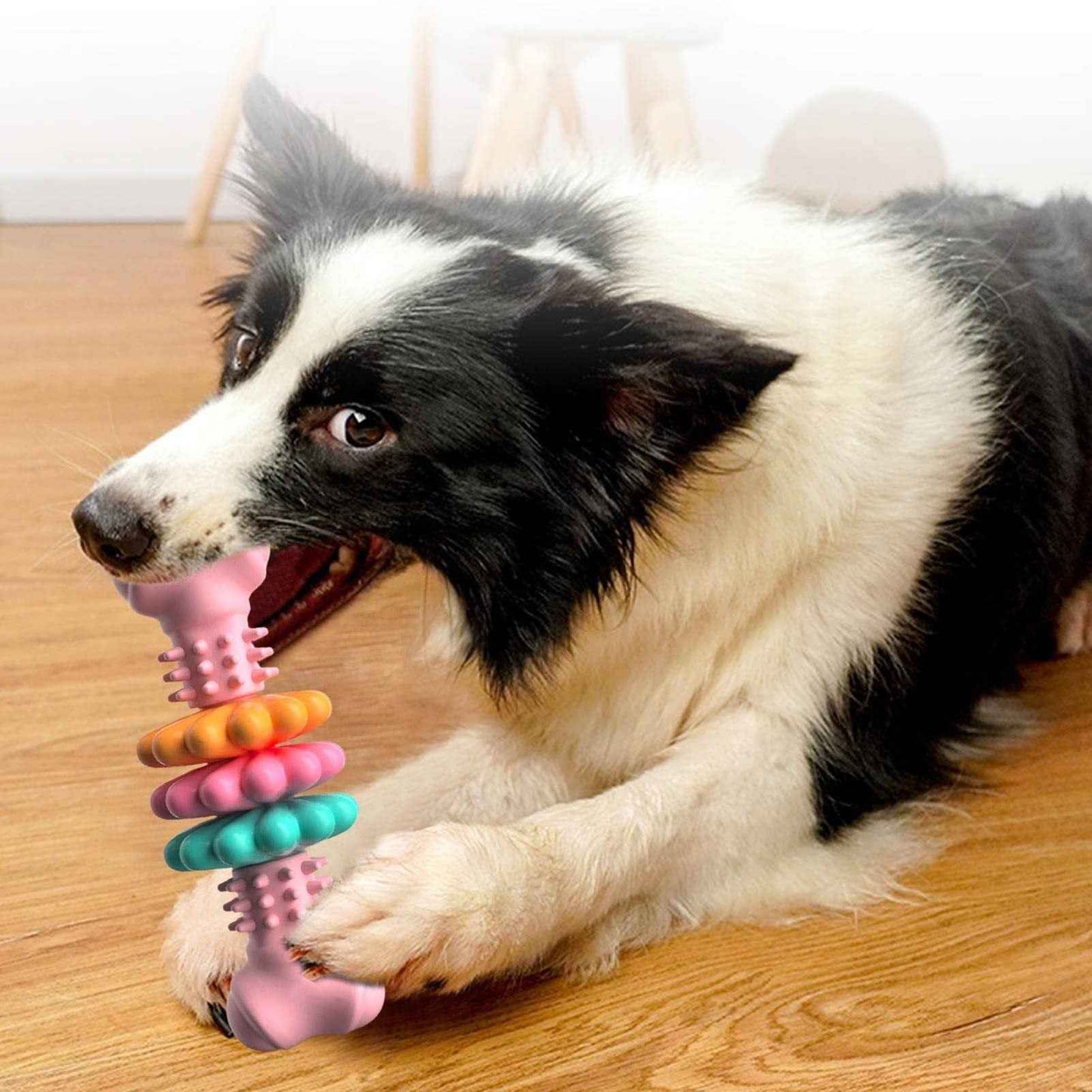 Bone Type Bite Resistant Bone Teething Toy for Comfortable Teething Relief - Travillure Pet Emporium