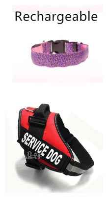Adjustable Leopard LED Dog Collar for Nighttime Safety and Style - Travillure Pet Emporium