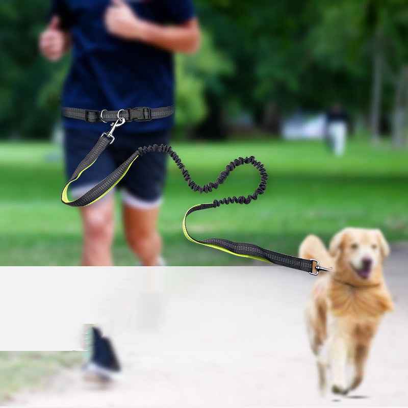 Dog Running Pull Leash for Active Pets and Owners - Travillure Pet Emporium