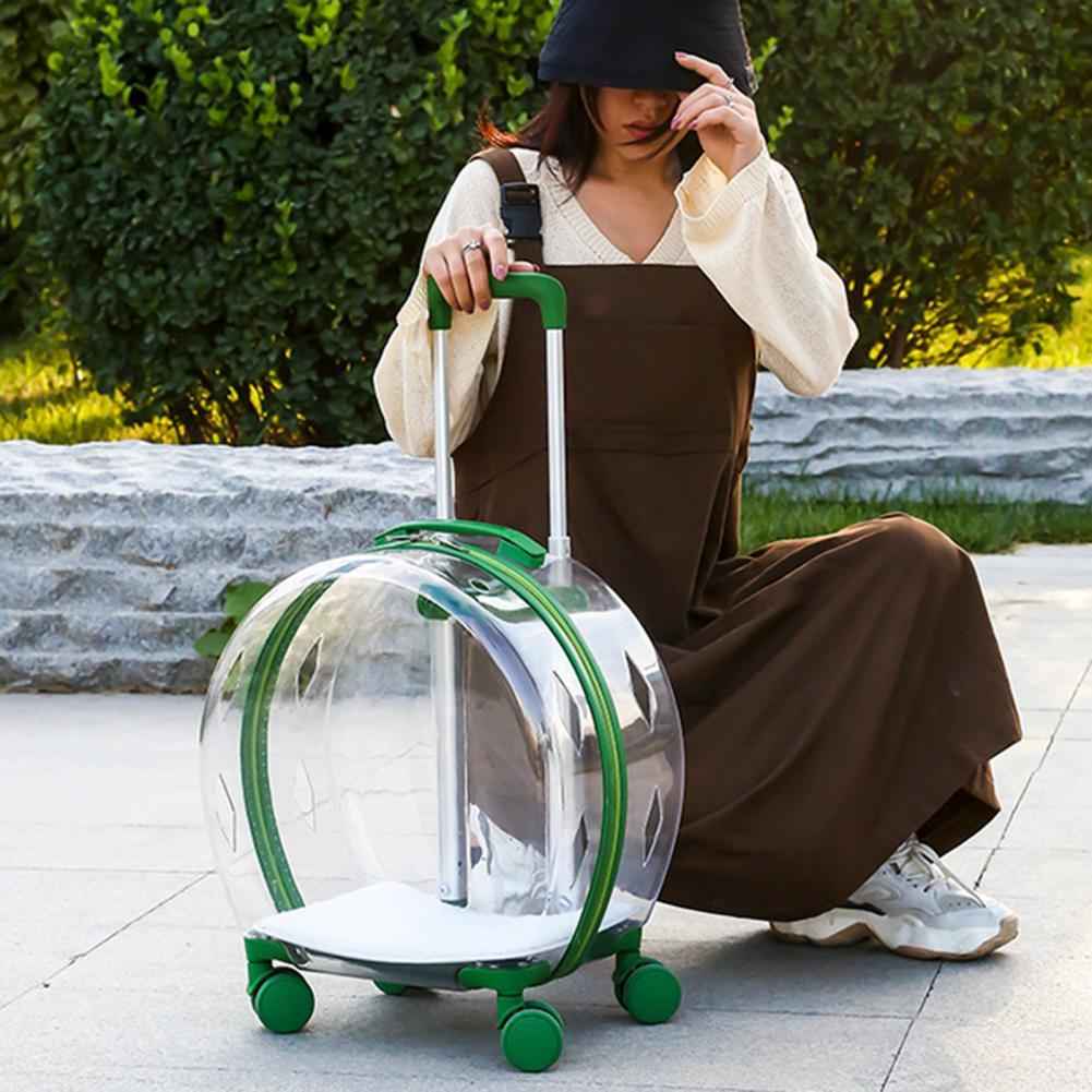 Transparent Dog Trolley Box for Convenient Pet Transport - Travillure Pet Emporium