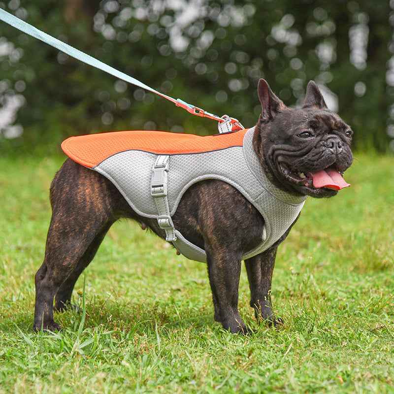 Summer Pet Cooling Vest for Outdoor Breathability and Comfort - Travillure Pet Emporium