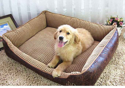 Cozy Dog Beds and Litter Solutions to Enhance Your Dog's Kennel Comfort