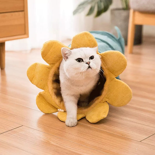 Creative Fruit Pet Cat Tunnel Toy