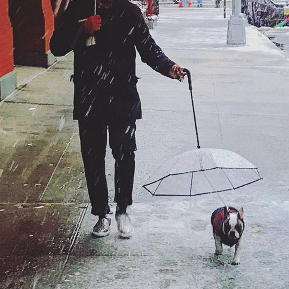 Dog's Transparent Umbrella With Traction Chain