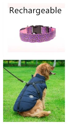 Adjustable Leopard LED Dog Collar