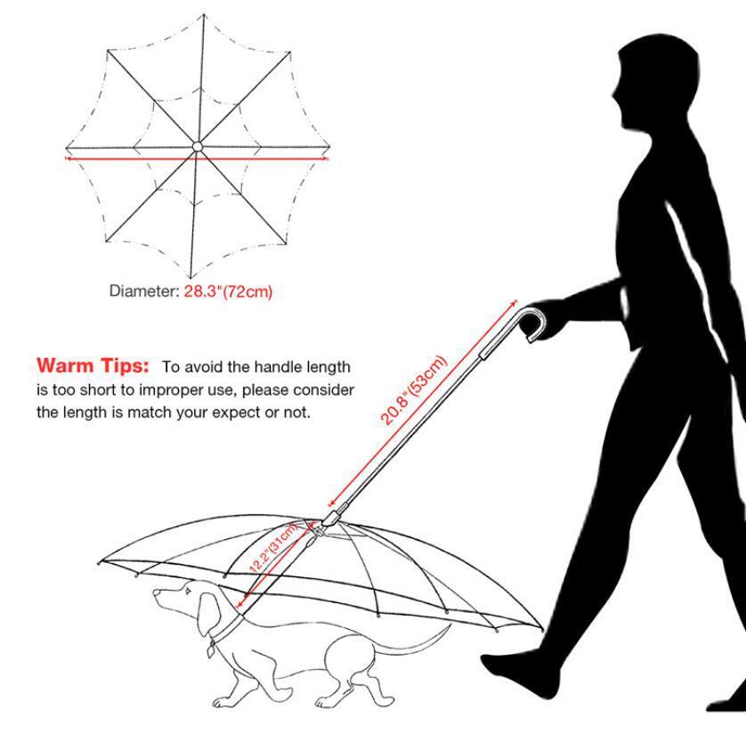 Dog's Transparent Umbrella With Traction Chain