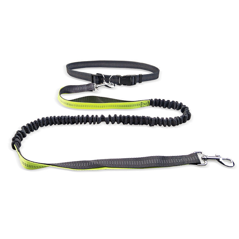 Dog Running Pull Leash