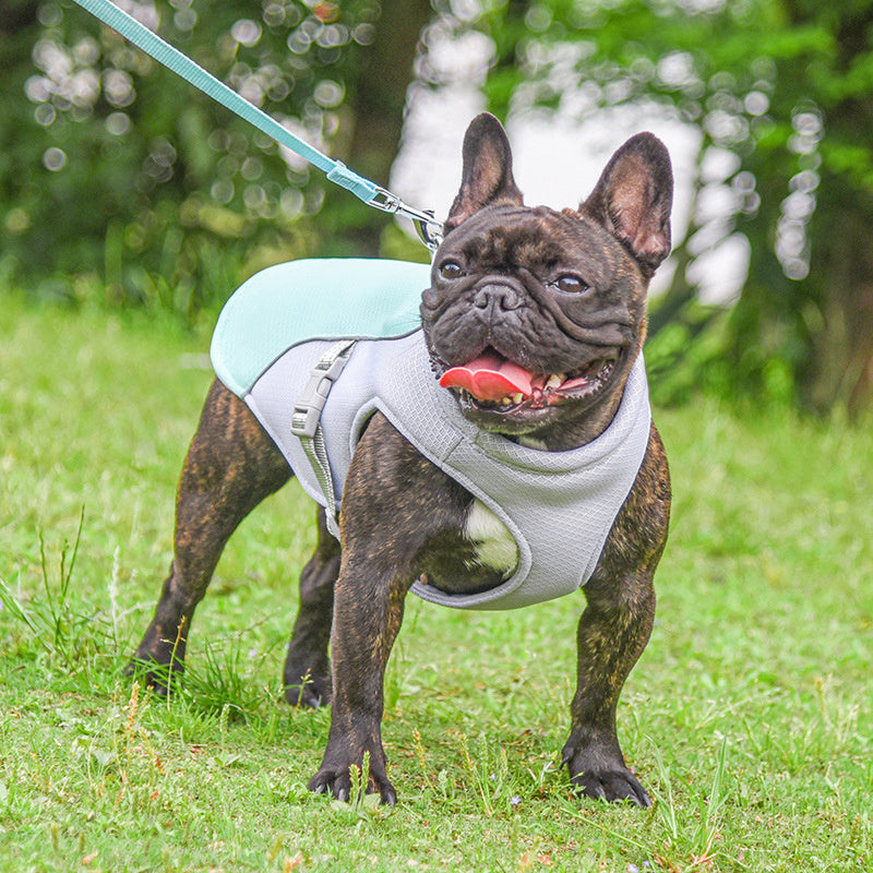 Summer Pet Outdoor Breathable Cooling Vest